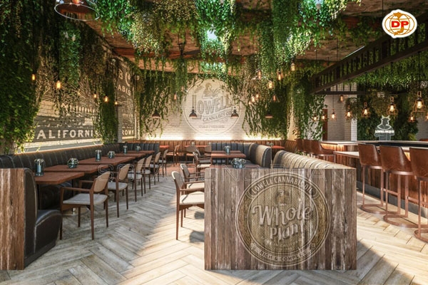 Sofa Cafe Minimalis Là Sofa Gì?